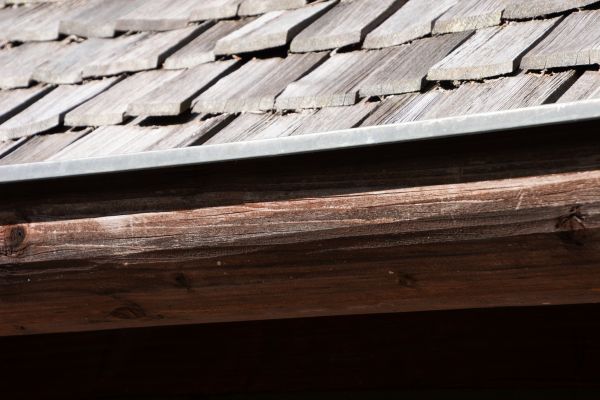 Wood Gutter Service in Novi
