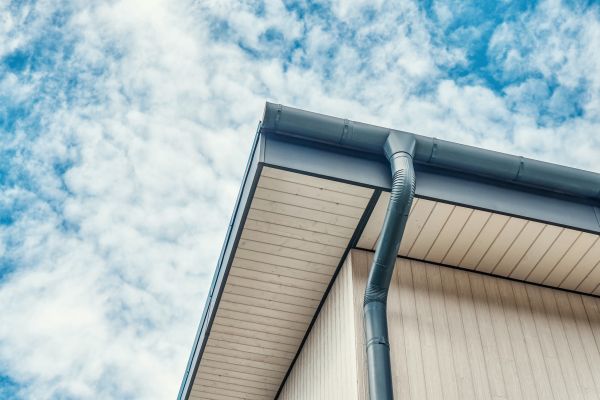Gutter Fascia Repair in Novi