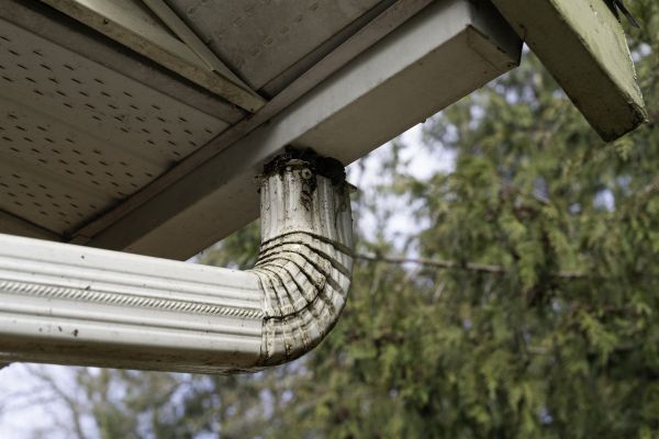 Cost of Roof Drain Replacement in Novi