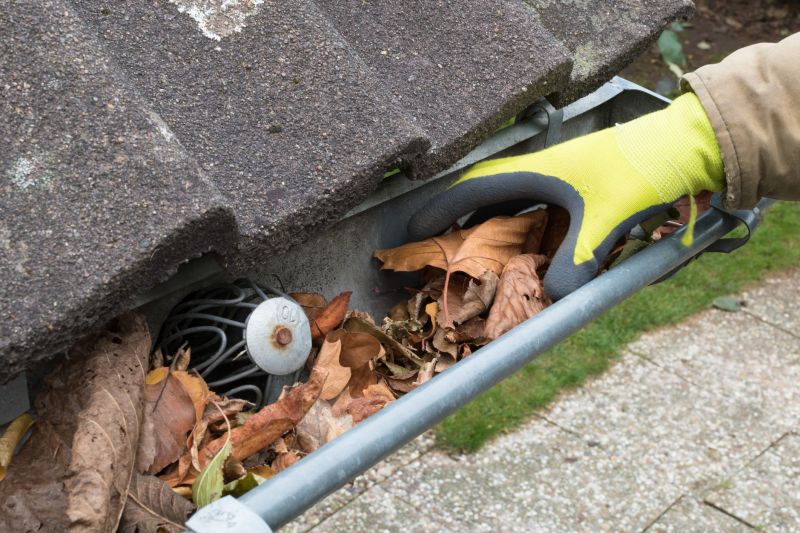 Fall Gutter Inspection