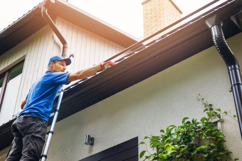 Summer Gutter Maintenance