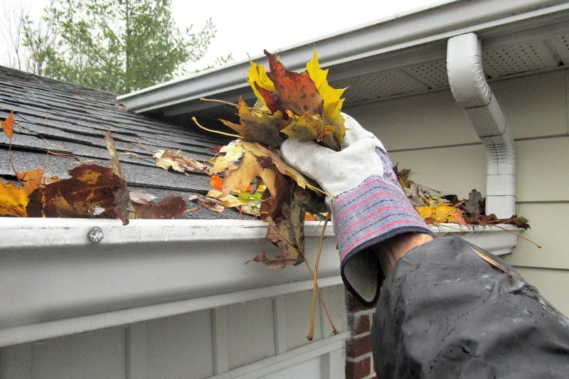 Who Does Gutter Service